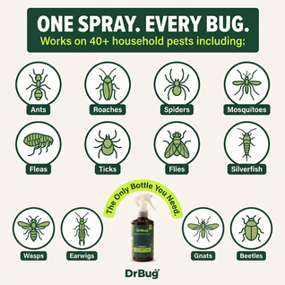 DrBug Botanical Knockout