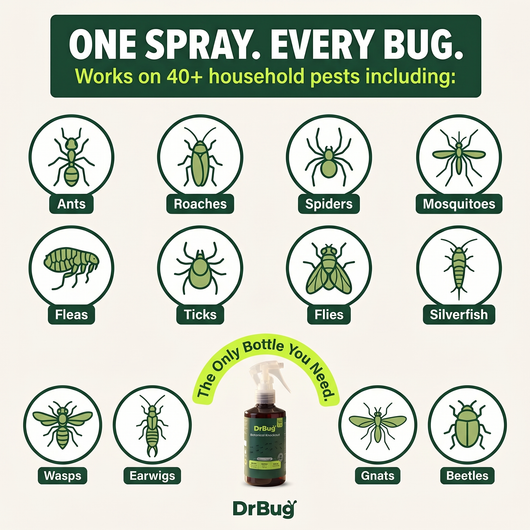 DrBug Botanical Knockout